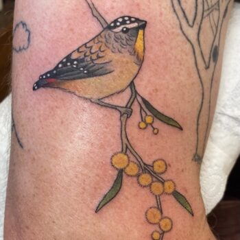 Alara Hakea